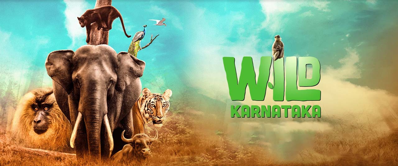 Wild karnataka amazon prime sale