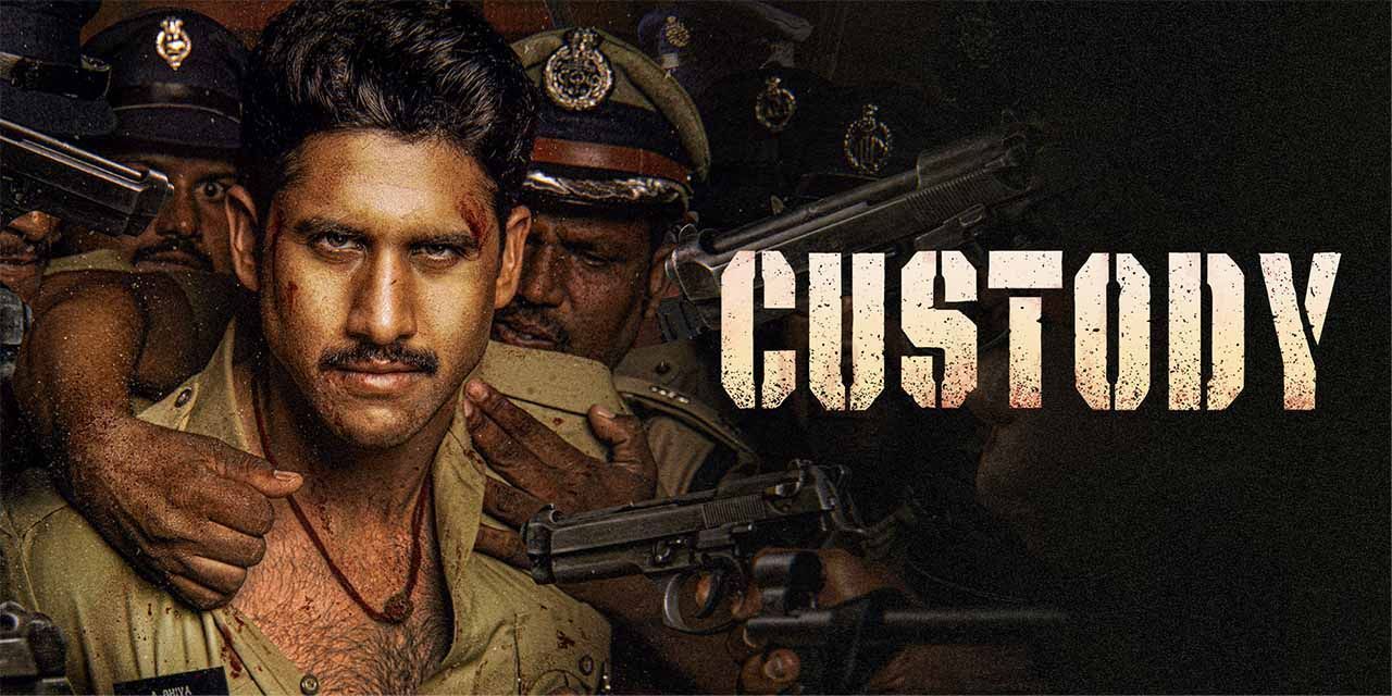 Custody Movie 