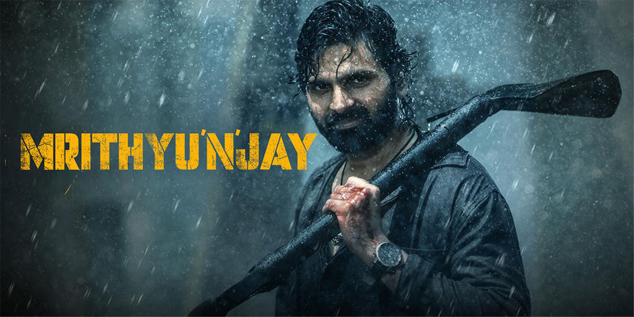 Download Baaghi 4 (2025)