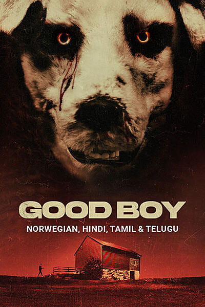 Good Boy (2022)