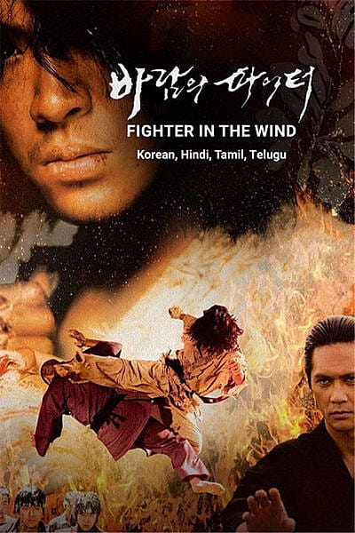 Fighter In The Wind