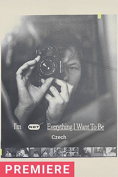 I'm Not Everything I Want to Be