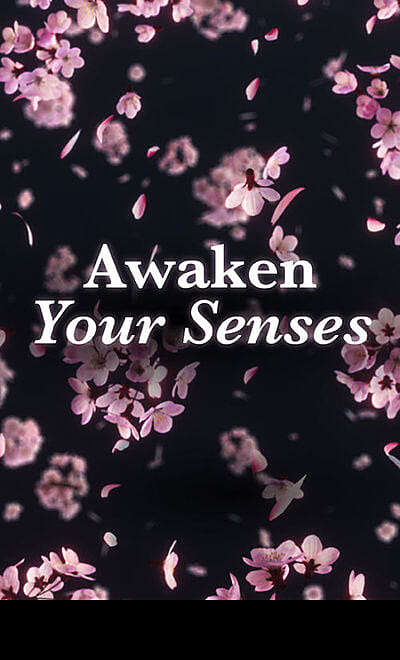 tem: Experience Like Never Before