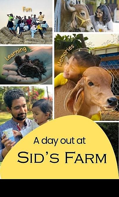 Sid's Farm - Weekend Visit