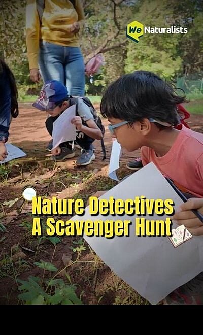 Nature Detectives: A Scavenger Hunt