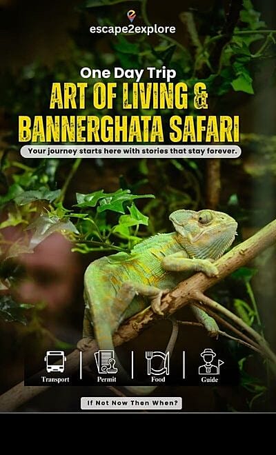 Art of Living & Bannerghatta Safari 