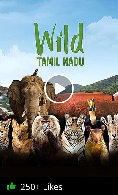 Wild Tamil Nadu Trailer