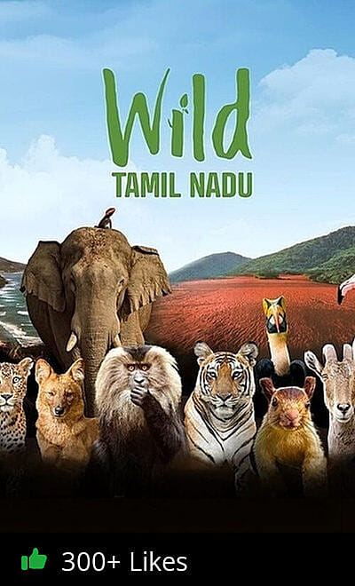 Wild Tamil Nadu