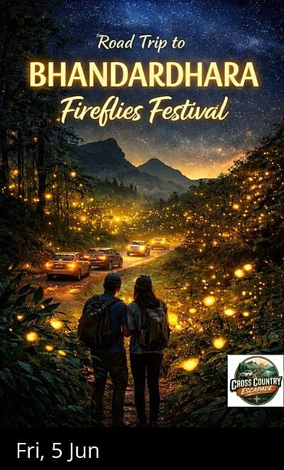 Road trip to Fire Flies Festival