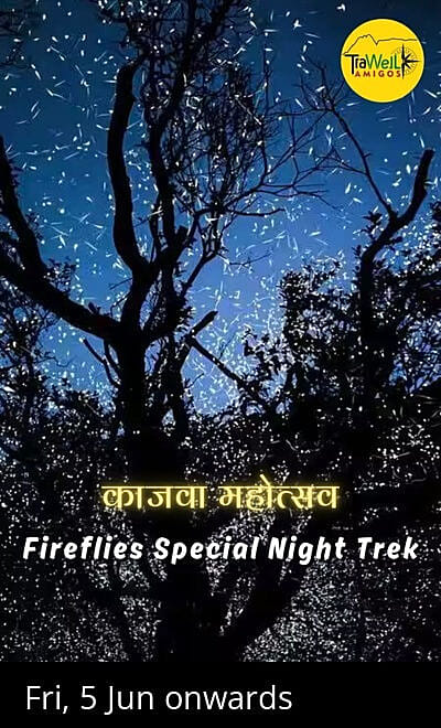 Fireflies Spl Trek to Prabalmachi, TraWell Amigos