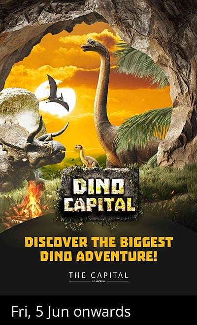 Dino Capital