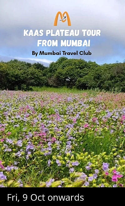 Kaas Plateau Tour from Mumbai - Mumbai Travel Club