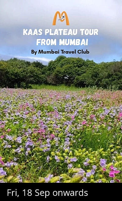 Kaas Plateau Tour from Mumbai - Mumbai Travel Club