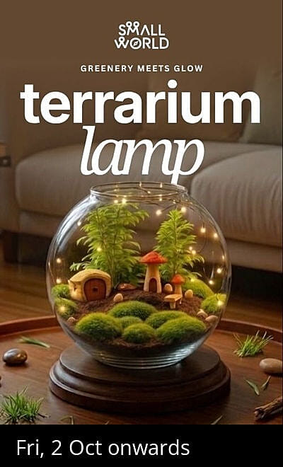 Terrarium Lamp