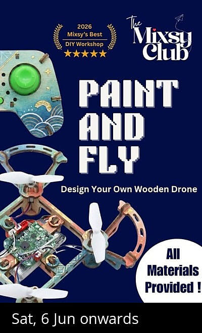 Paint and Fly - The Mixsy Club