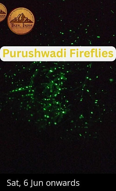 Purushwadi Fireflies Festival