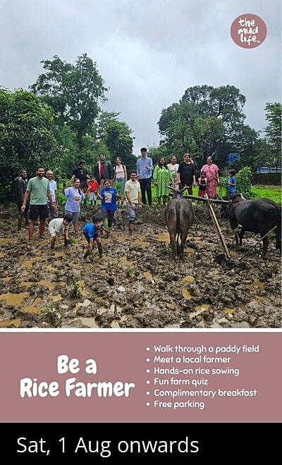 The Mud Life - Rice Farming Special