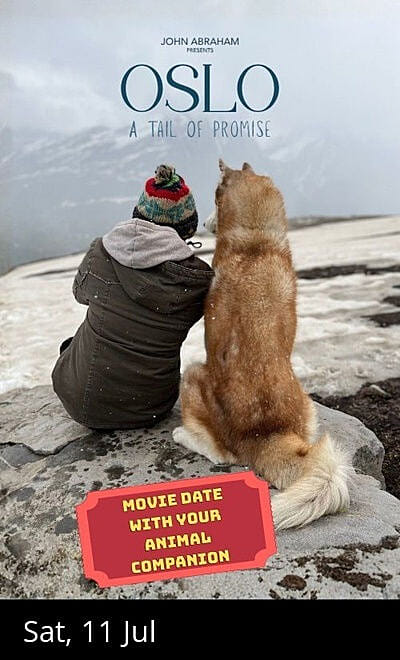 Movie Night with your Animal Companion