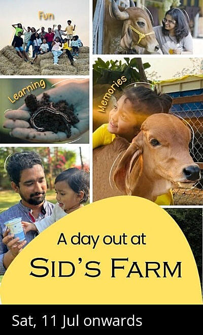 Sid's Farm - Weekend Visit