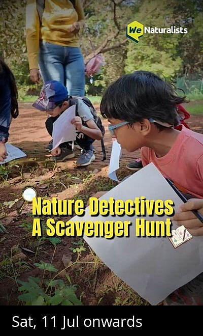 Nature Detectives: A Scavenger Hunt
