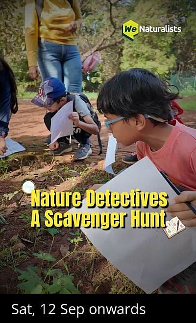 Nature Detectives: A Scavenger Hunt