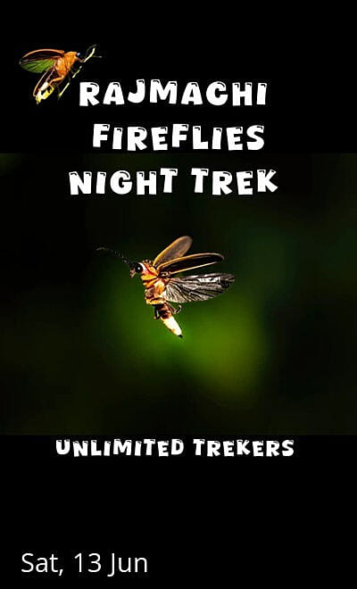 Fireflies Rajmachi Trek : Unlimited Trekers