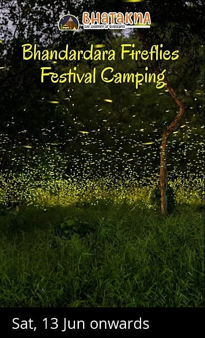 Bhandardara Fireflies Festival Camping
