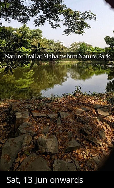 Nature Trail at Maharashtra Nature Park 