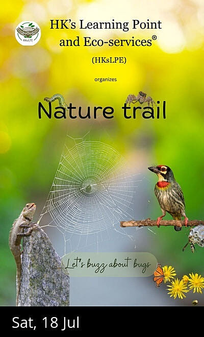 Monsoon Mania in Maharashtra Nature Park, MNP