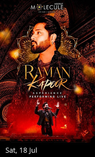 RAMAN KAPOOR EXPERIANCE