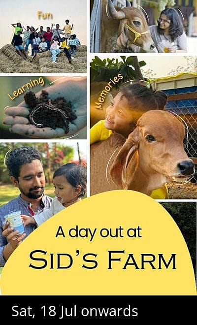 Sid's Farm - Weekend Visit