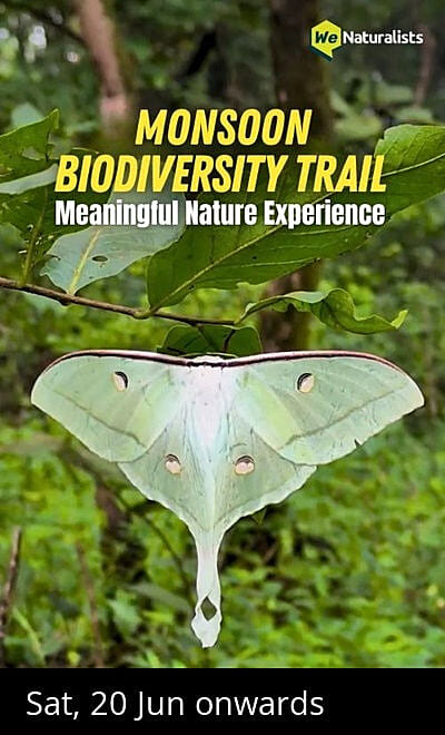 Monsoon Biodiversity Trail - BNHS