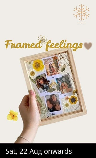 Framed feelings