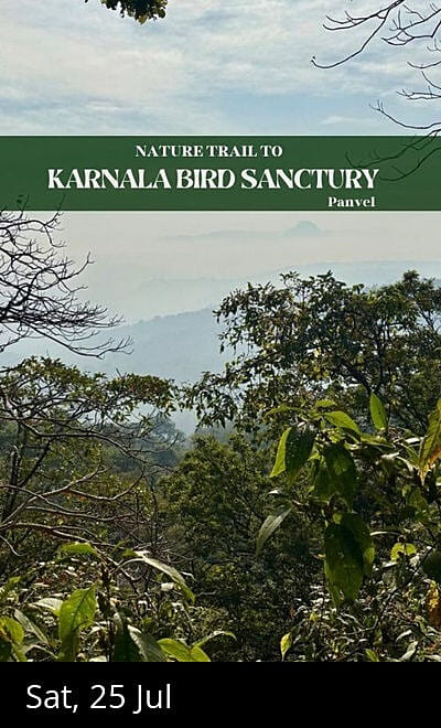 Nature Trail to Karnala Bird Sanctuary - Panvel