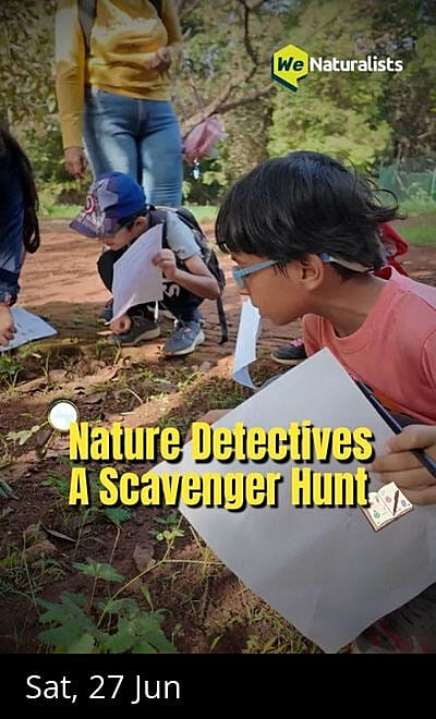 Nature Detectives: AScavenger Hunt