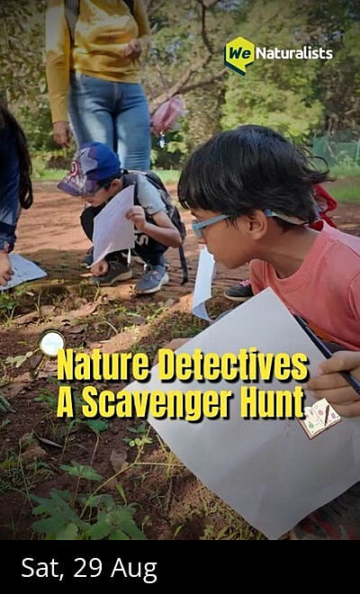 Nature Detectives: A Scavenger Hunt