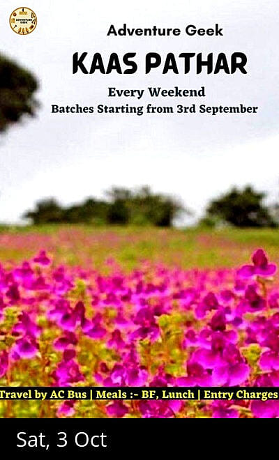 Adventure Geek: Kaas Pathar - Valley of Flowers