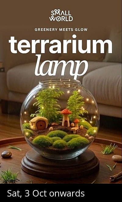 Terrarium Lamp