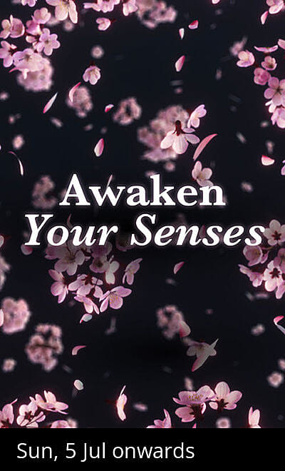 tem: Experience Like Never Before