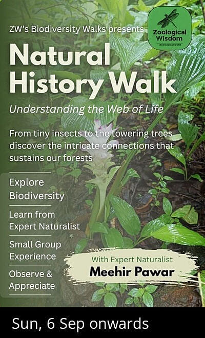 Natural History Walk in Goregaon (E)