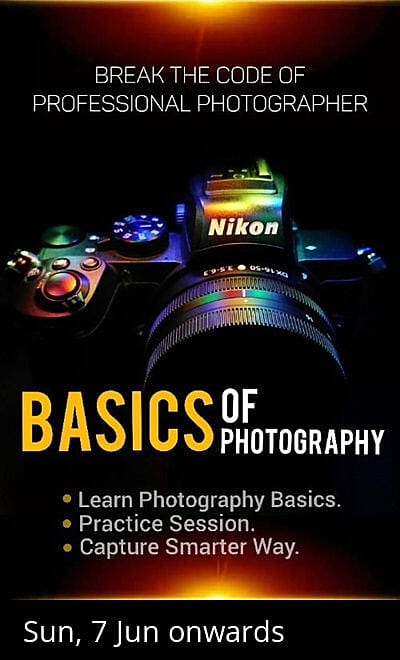 Master Your Photography Basics