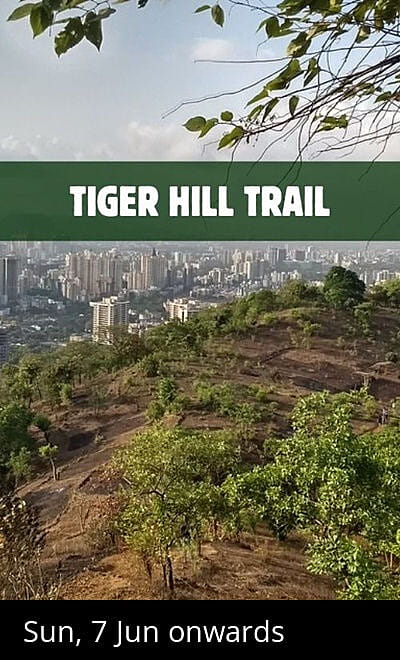 Tiger Hills Trail, SGNP, Thane (W) 