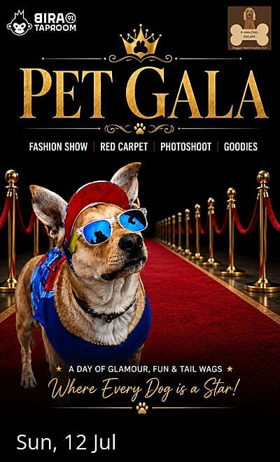 Pet Gala