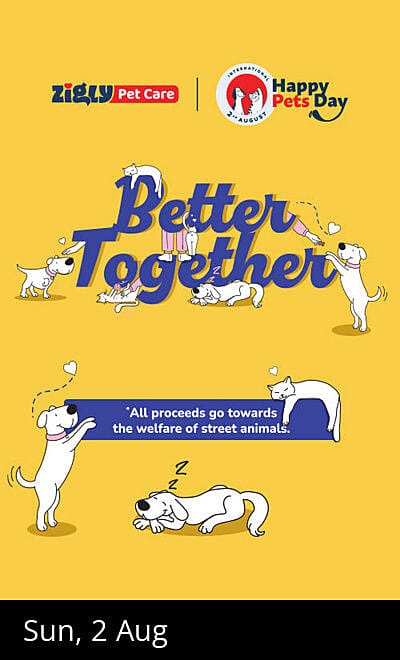 International Happy Pets Day by Zigly Pet Care