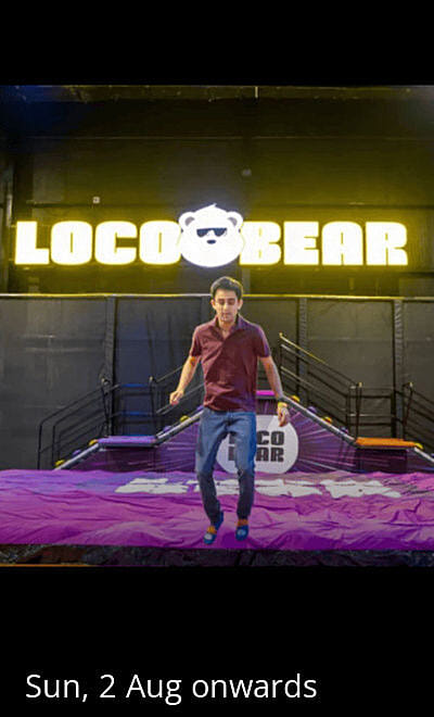 Loco Bear Bangalore
