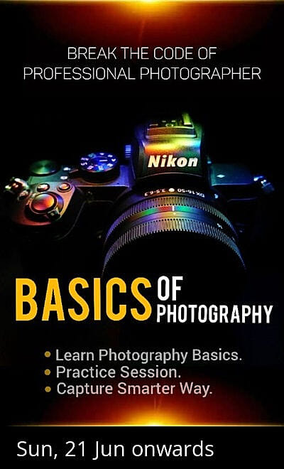 Master Your Photography Basics