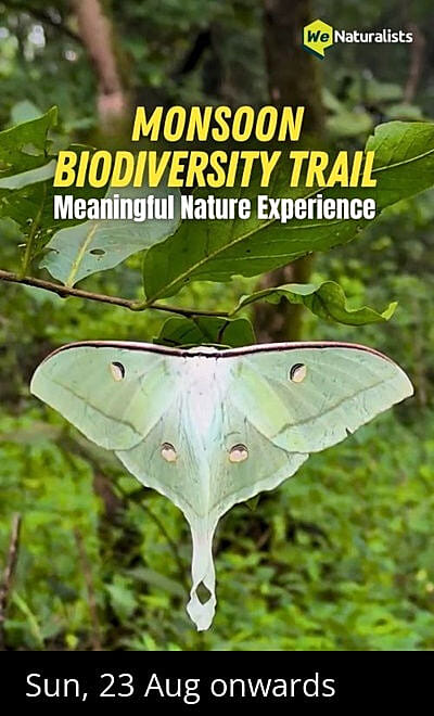 Monsoon Biodiversity Trail - BNHS