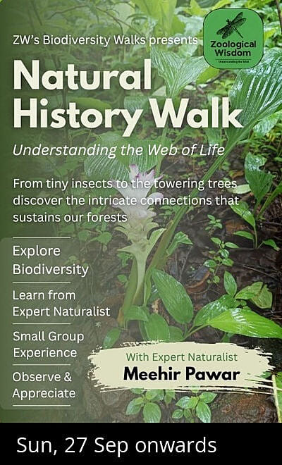 Natural History Walk in Goregaon (E)