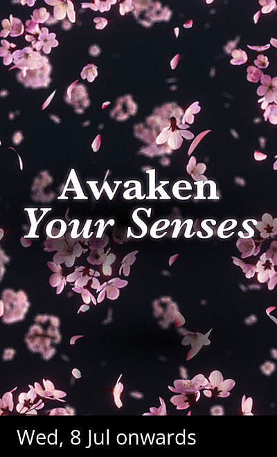 tem: Experience Like Never Before