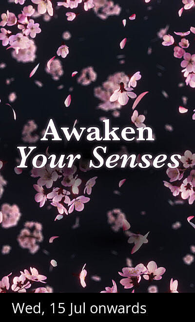 tem: Experience Like Never Before
